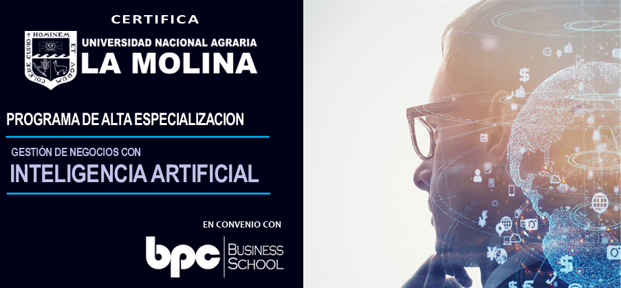 PAE en Gestión de Negocios con Inteligencia Artificial