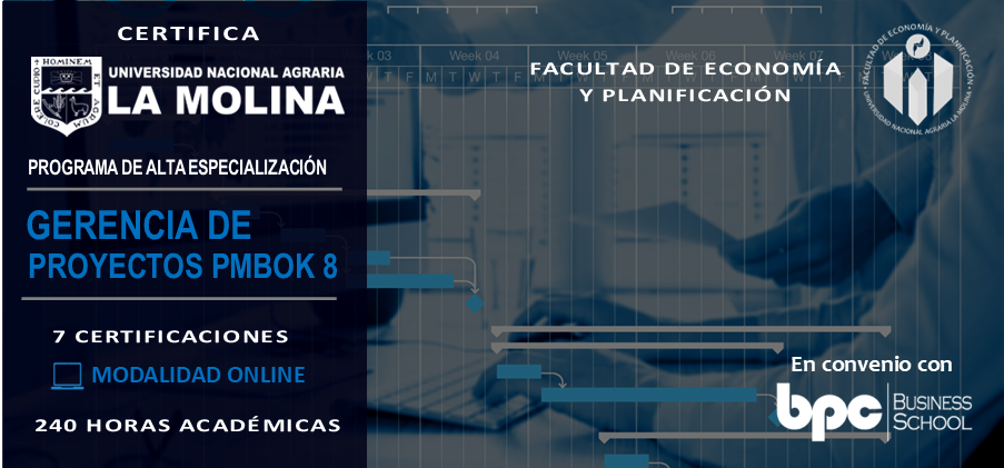 PAE en Gerencia de Proyectos PMBOK 8va edición
