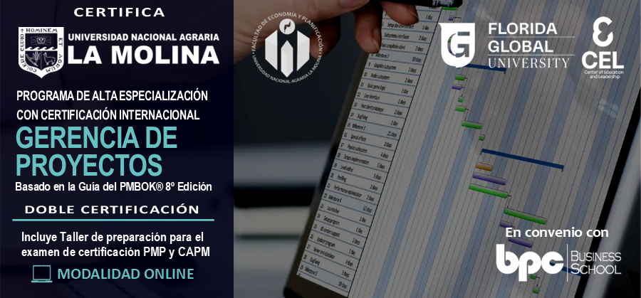PAE en Gerencia de Proyectos PMBOK 8va edición