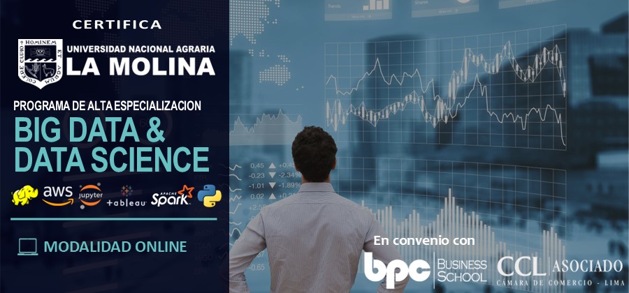 PAE en Big Data & Data Science